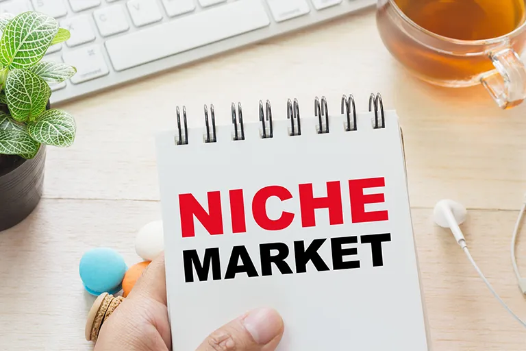 بررسی نیچ مارکتینگ و ویژگی های آن